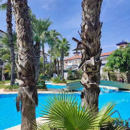 Sunny Apartment Costa Blanca La Mata  Exterior photo